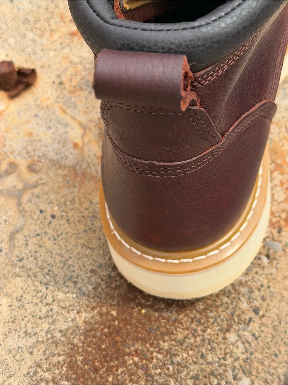 Irish Setter step into